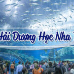 3 Day Nha Trang Beach 22