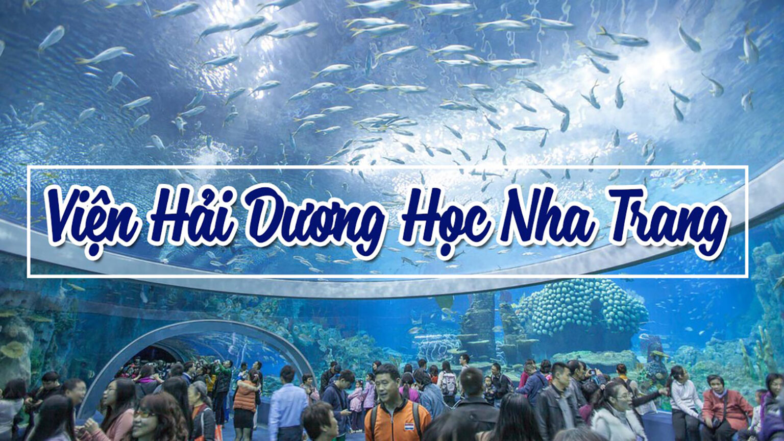 3 Day Nha Trang Beach 22