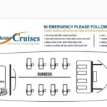 SWAN CRUISE 2 min