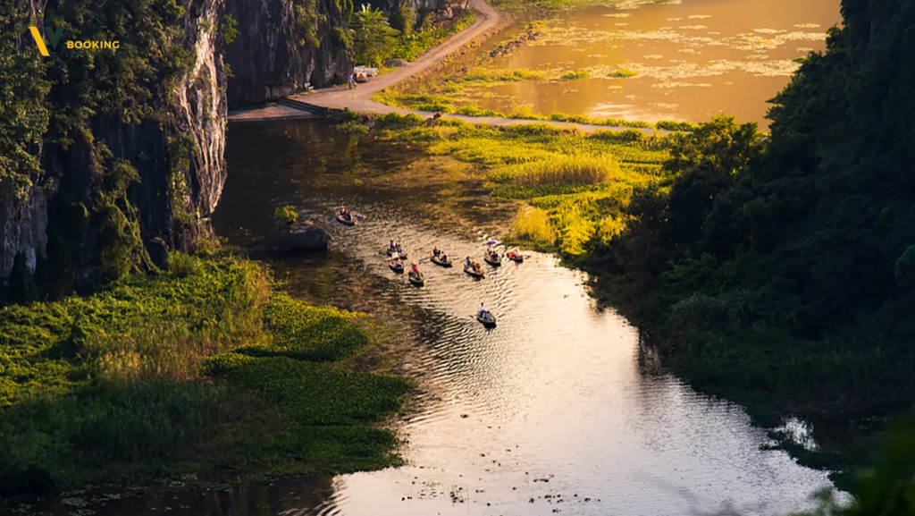 Cruise On Ngo Dong River