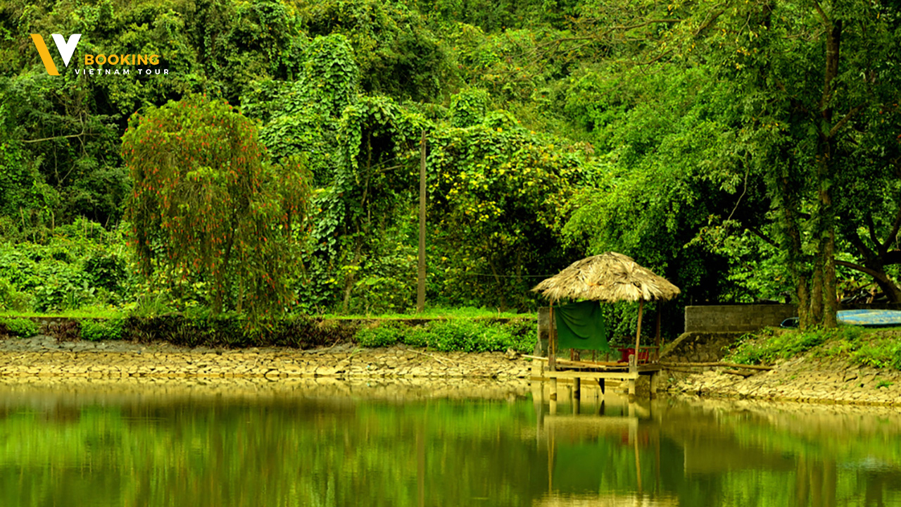 Cuc Phuong Jungle: Mysterious Beauty