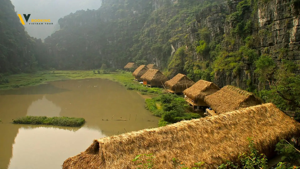 Nguyen Shack