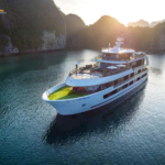 STELLAR-OF-THE-SEAS-CRUISE-1- Bookingvietnamtour